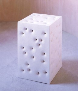 skin bones block c